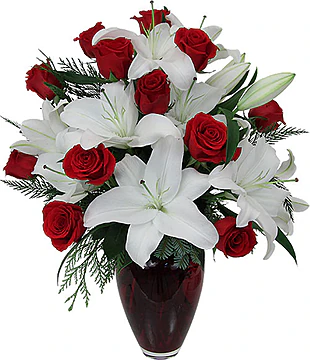 Red and white twelves sales